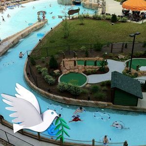 Meet your Posher, Phyllis